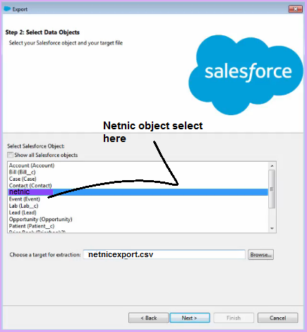 Salesforce data export