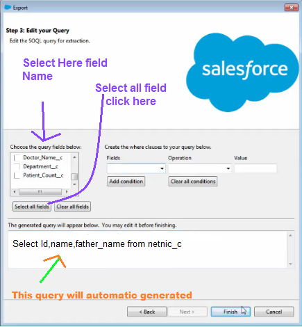 salesforce data loader export