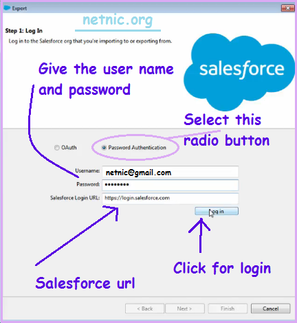 Salesforce in data loader